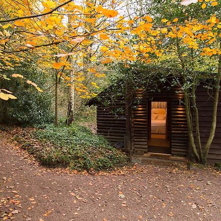 Pinetum Lodge Gloucester Room photo