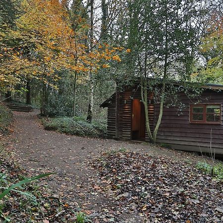 Pinetum Lodge Gloucester Room photo